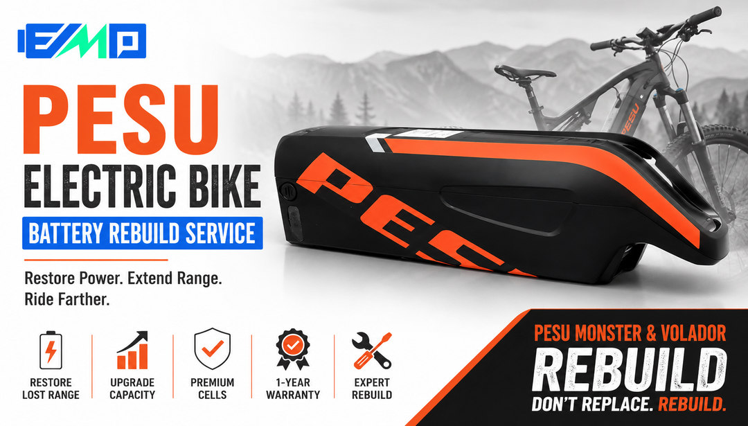 Pesu Electric Bike Battery Rebuild Service
