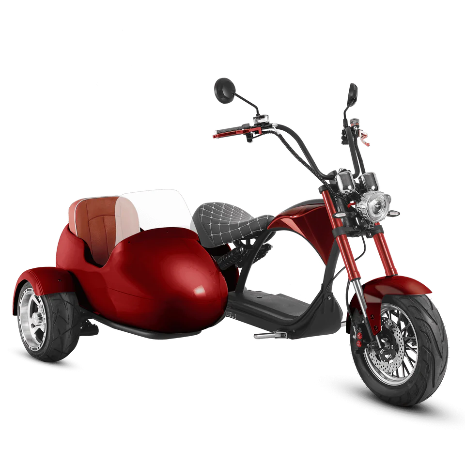 Eahora M1P + Sidecar