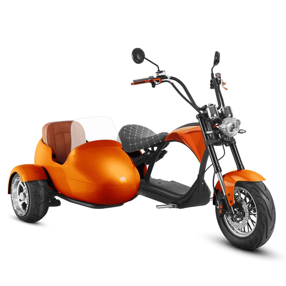 Eahora M1P + Sidecar