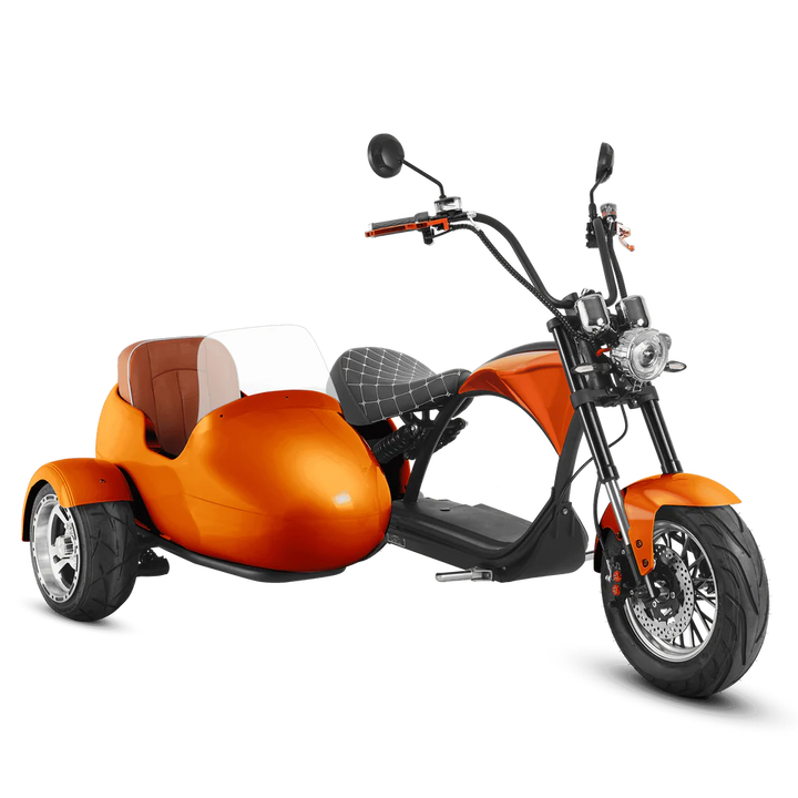 Eahora M1P + Sidecar