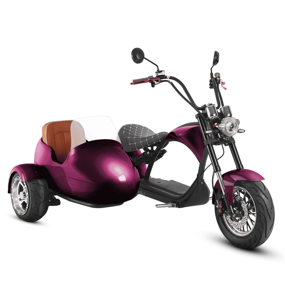 Eahora M1P + Sidecar
