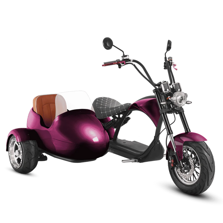 Eahora M1P + Sidecar