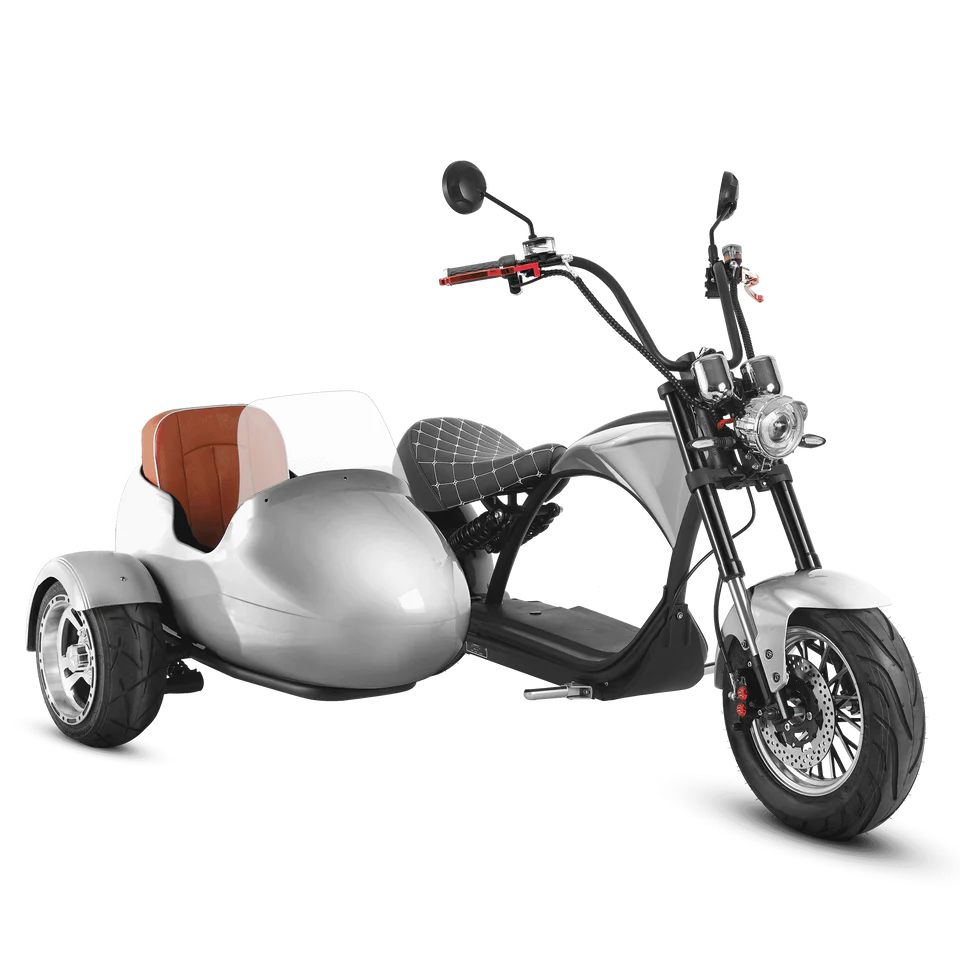 Eahora M1P + Sidecar