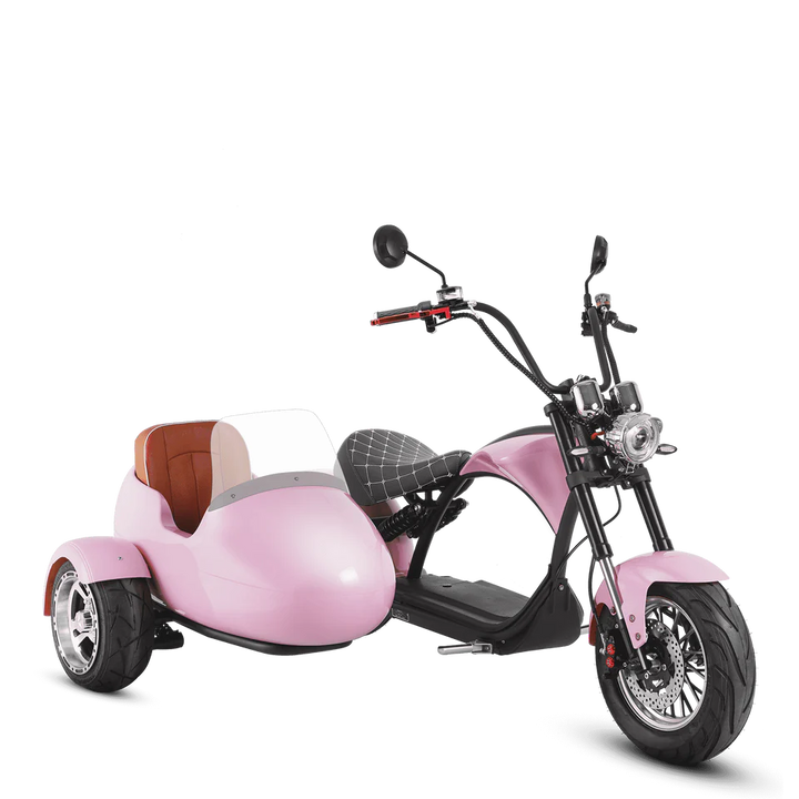 Eahora M1P + Sidecar