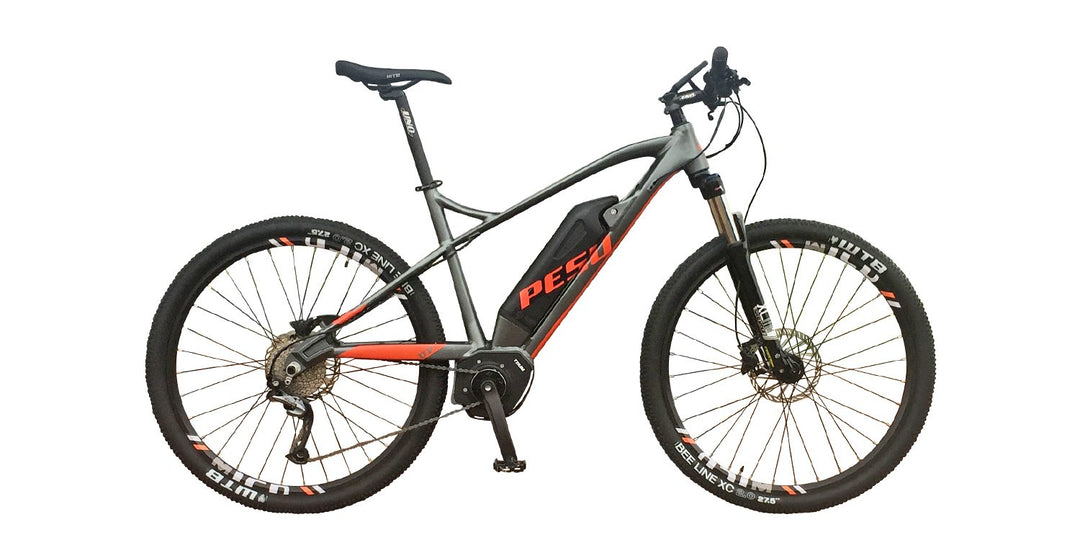 Pesu Electric Bike Battery Rebuild Service | Monster & Volador Battery Repair