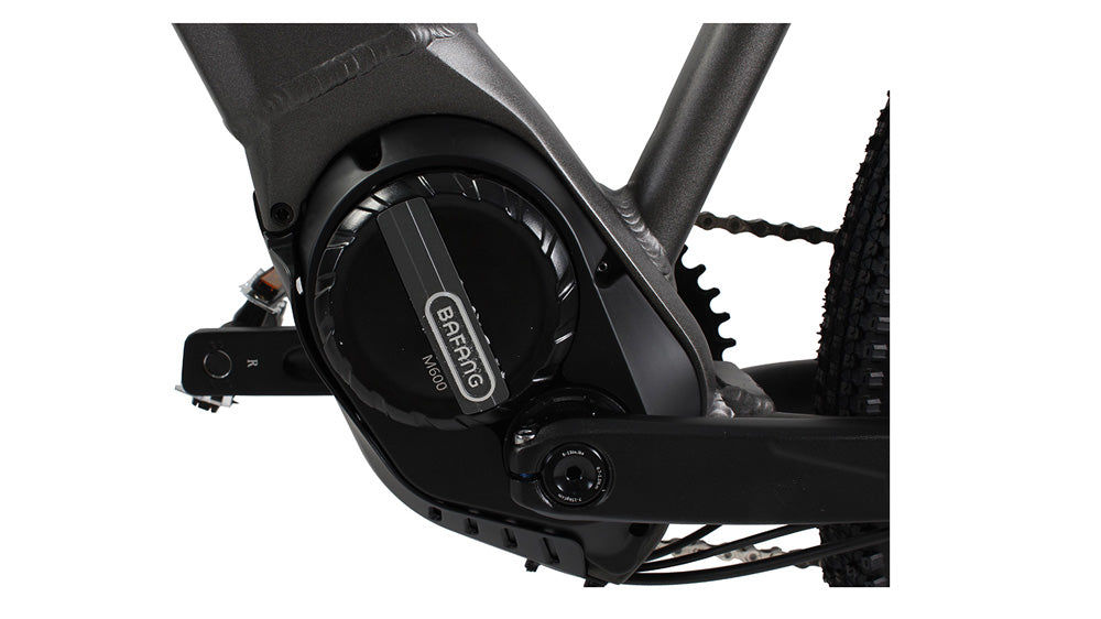 FREEPATH MTB M10 [48V 500W] (Roadrunner)