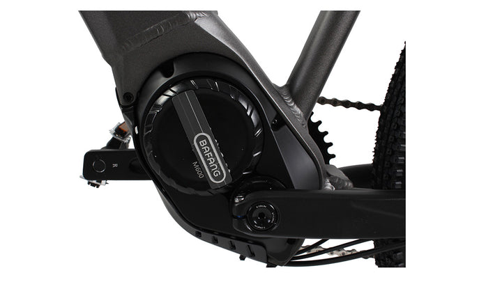 FREEPATH MTB M10 [48V 500W] (Roadrunner)