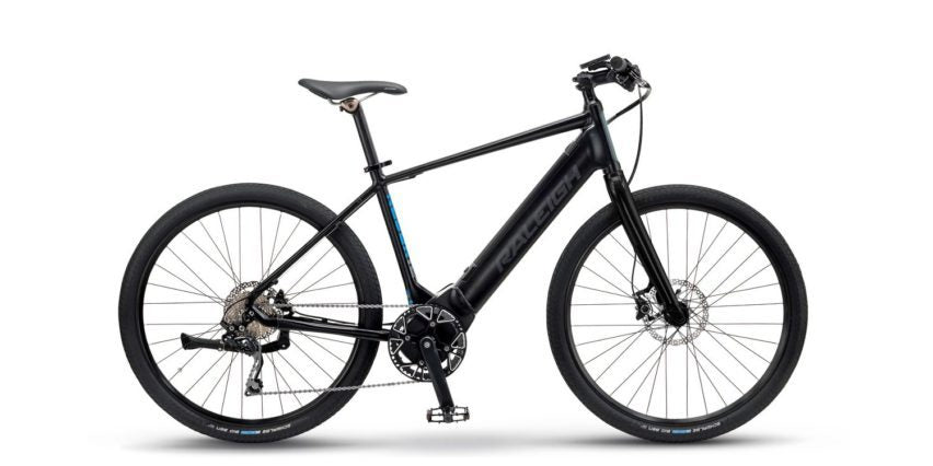 raleigh fahrrad e-bike Raleigh Battery